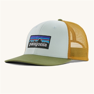 Patagonia P-6 Logo Trucker Hat Wispy Green